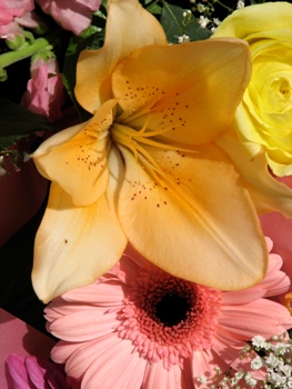 This macro photo of a flower (or floral) arrangement was taken by photographer Jeremy Doorten of Prince Albert, Canada.